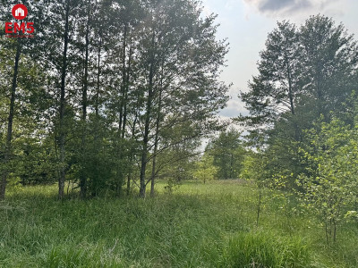 Działka w  Kosmatym Borku - Kosmaty Borek  -
PODLASKIE Zdjęcie nr 3