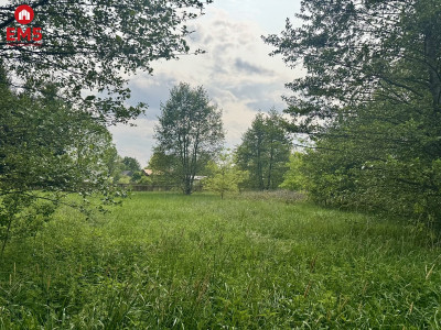 Działka w  Kosmatym Borku - Kosmaty Borek  -
PODLASKIE Zdjęcie nr 4