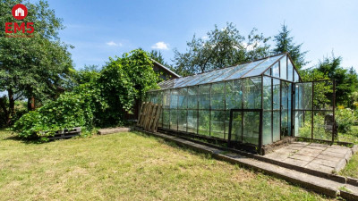 Ogródek działkowy Mickiewicza - Białystok  -
PODLASKIE Zdjęcie nr 3