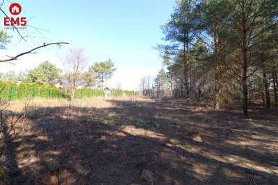 Atrakcyjna działka w Augustowie - Augustów  -
PODLASKIE Zdjęcie nr 3