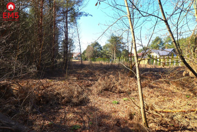 Atrakcyjna działka w Augustowie - Augustów  -
PODLASKIE Zdjęcie nr 4