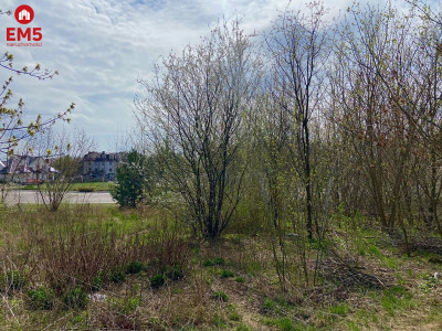 Działka w Nowodworcach  - Nowodworce  -
PODLASKIE Zdjęcie nr 4