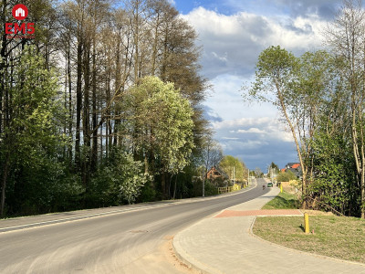 Olmonty działka 1000m2 - Olmonty  -
PODLASKIE Zdjęcie nr 7