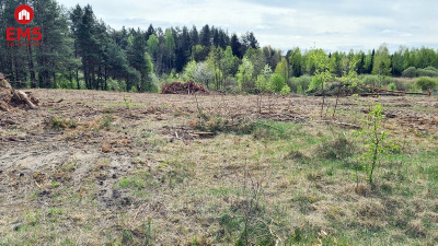 Działka budowlana 3000 m2 Ciasne - Ciasne  -
PODLASKIE Zdjęcie nr 4