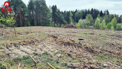Działka budowlana 3000 m2 Ciasne - Ciasne  -
PODLASKIE Zdjęcie nr 5