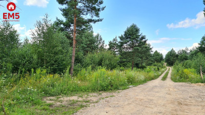 Działka budowlana 3000 m2 Ciasne - Ciasne  -
PODLASKIE Zdjęcie nr 6