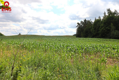 Działka budowlana na Mazurach Rożyńsk Wielki - Rożyńsk Wielki  -
WARMIŃSKO-MAZURSKIE Zdjęcie nr 7