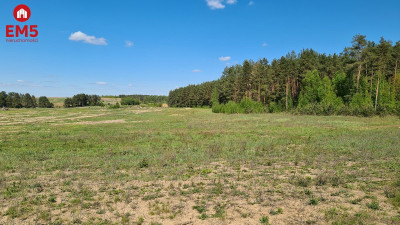 Działka przemysłowa 04 ha pod Wasilkowem - Wasilków  -
PODLASKIE Zdjęcie nr 6