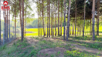 Krynice działka budowlana 2181 m2 - Krynice  -
PODLASKIE Zdjęcie nr 2