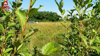 Henrykowo działka budowlana 1458 m2 - Białystok  -
Podlaskie Zdjęcie nr 4