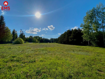 Działka w Katrynce  - Katrynka  -
PODLASKIE Zdjęcie nr 4