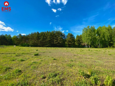 Działka w Katrynce  - Katrynka  -
PODLASKIE Zdjęcie nr 5