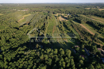 Na sprzedaż działka leśna - Poniatowa -
lubelskie Zdjęcie nr 10