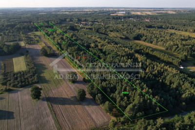 Na sprzedaż działka leśna - Poniatowa -
lubelskie Zdjęcie nr 3