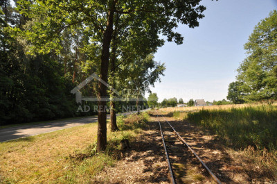 Na sprzedaż działka leśna - Poniatowa -
lubelskie Zdjęcie nr 4