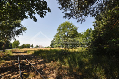 Na sprzedaż działka leśna - Poniatowa -
lubelskie Zdjęcie nr 9