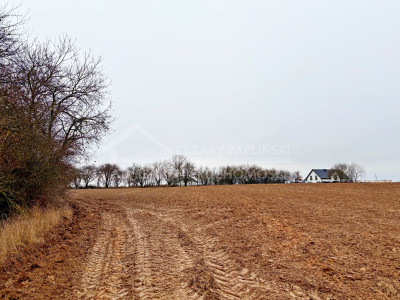 Na sprzedaż działka budowlana - Konopnica -
lubelskie Zdjęcie nr 4