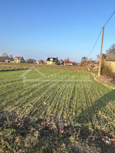 Na sprzedaż działka budowlana - Stasiówka -
lubelskie Zdjęcie nr 4