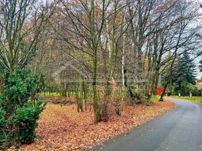 Na sprzedaż działka rekreacyjna - Konopnica -
lubelskie Zdjęcie nr 7