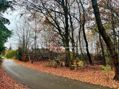 Na sprzedaż działka rekreacyjna - Konopnica -
lubelskie Zdjęcie nr 4