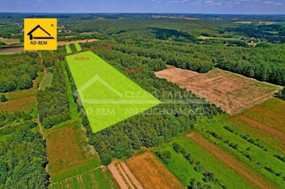 Na sprzedaż działka rolna - Uściąż -
lubelskie Zdjęcie nr 2