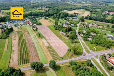 Na sprzedaż działka inwestycyjna - Uściąż - lubelskie