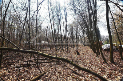 Na sprzedaż działka budowlana - Trojaczkowice -
lubelskie Zdjęcie nr 12