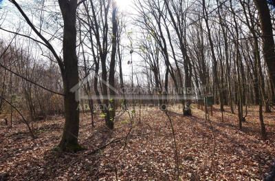 Na sprzedaż działka budowlana - Trojaczkowice -
lubelskie Zdjęcie nr 15