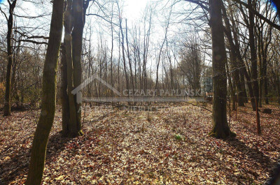 Na sprzedaż działka budowlana - Trojaczkowice -
lubelskie Zdjęcie nr 15