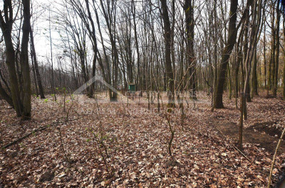 Na sprzedaż działka budowlana - Trojaczkowice -
lubelskie Zdjęcie nr 4