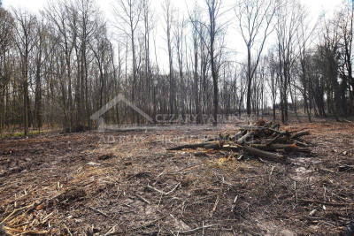 Na sprzedaż działka budowlana - Trojaczkowice -
lubelskie Zdjęcie nr 9