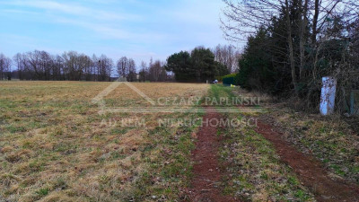 Na sprzedaż działka budowlana - Sumin -
lubelskie Zdjęcie nr 6