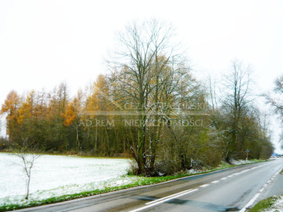 Na sprzedaż działka budowlana - Tomaszowice-Kolonia -
lubelskie Zdjęcie nr 6