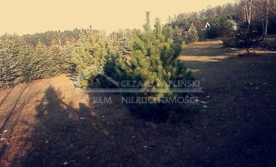 Na sprzedaż działka budowlana - Okuninka -
lubelskie Zdjęcie nr 4