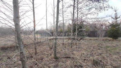 Na sprzedaż działka budowlana - Sumin -
lubelskie Zdjęcie nr 4