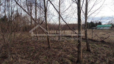 Na sprzedaż działka budowlana - Sumin -
lubelskie Zdjęcie nr 5