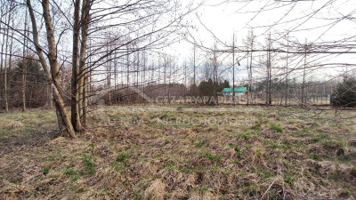 Na sprzedaż działka budowlana - Sumin -
lubelskie Zdjęcie nr 9