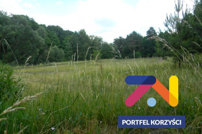 Na sprzedaż działka budowlana - Zielona Góra -
lubuskie Zdjęcie nr 3