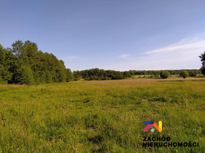 Na sprzedaż działka budowlana - Droszków -
lubuskie Zdjęcie nr 2