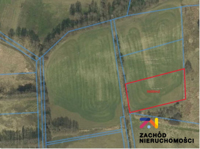 Na sprzedaż działka budowlana - Droszków -
lubuskie Zdjęcie nr 4