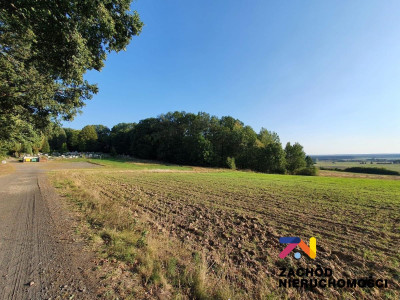 Na sprzedaż działka budowlana - Drągowina -
lubuskie Zdjęcie nr 11