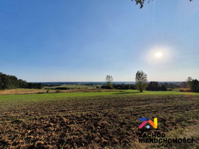 Na sprzedaż działka budowlana - Drągowina -
lubuskie Zdjęcie nr 12