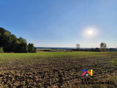 Na sprzedaż działka budowlana - Drągowina -
lubuskie Zdjęcie nr 14