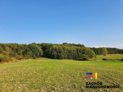 Na sprzedaż działka budowlana - Drągowina - lubuskie