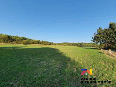 Na sprzedaż działka budowlana - Drągowina -
lubuskie Zdjęcie nr 3