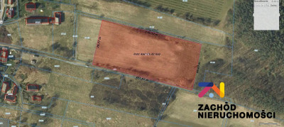 Na sprzedaż działka budowlana - Drągowina -
lubuskie Zdjęcie nr 7