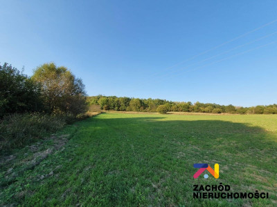 Na sprzedaż działka budowlana - Drągowina -
lubuskie Zdjęcie nr 8