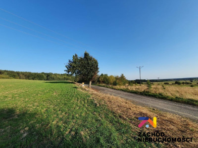 Na sprzedaż działka budowlana - Drągowina -
lubuskie Zdjęcie nr 9