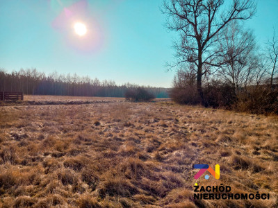 Na sprzedaż działka budowlana - Zabór - lubuskie