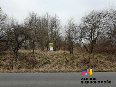 Na sprzedaż działka rolna - Mirocin Dolny -
lubuskie Zdjęcie nr 2